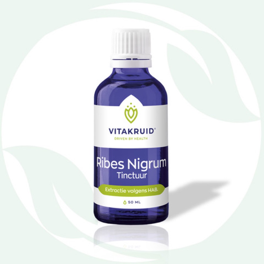 Vitakruid Ribes Nigrum tinctuur